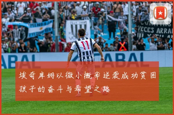 埃奇库姆以微小概率逆袭成功贫困孩子的奋斗与希望之路