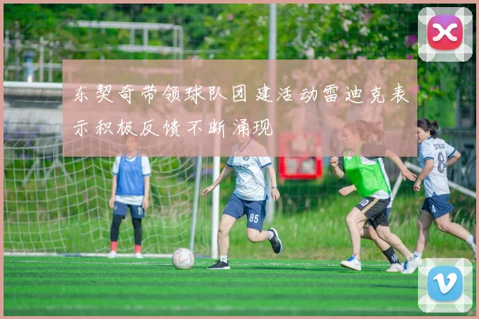 东契奇带领球队团建活动雷迪克表示积极反馈不断涌现