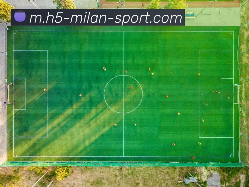 米兰体育APP 封面图